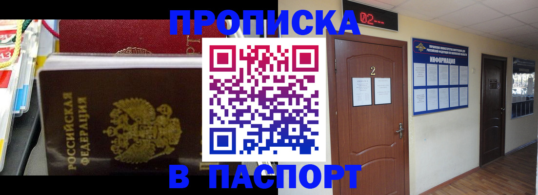 прописка гарантия в Бородино